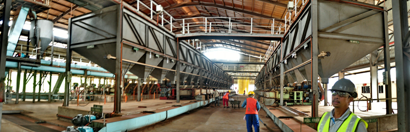 Palm Kernel Oil Extrusion Process