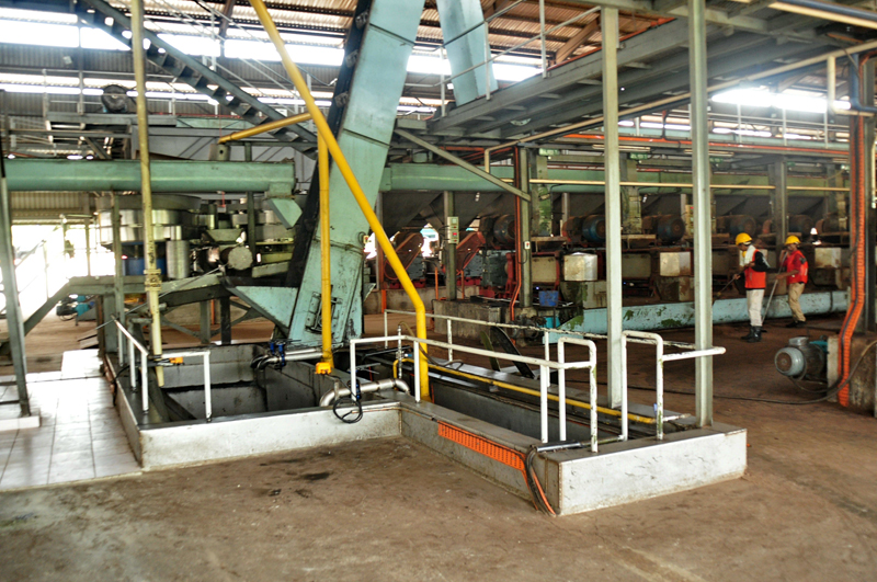 Palm Kernel Oil Extrusion Process