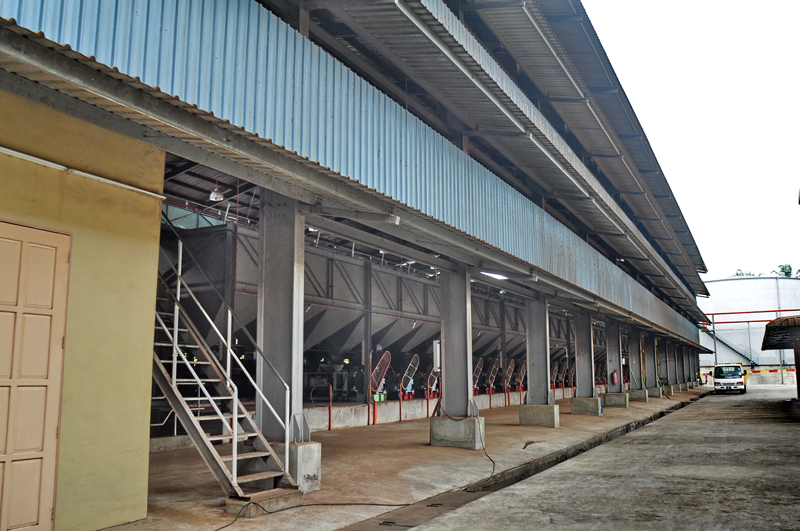 Palm Kernel Oil Extrusion Process