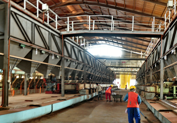 Technology of Palm Kernel Oil Extrusion Process