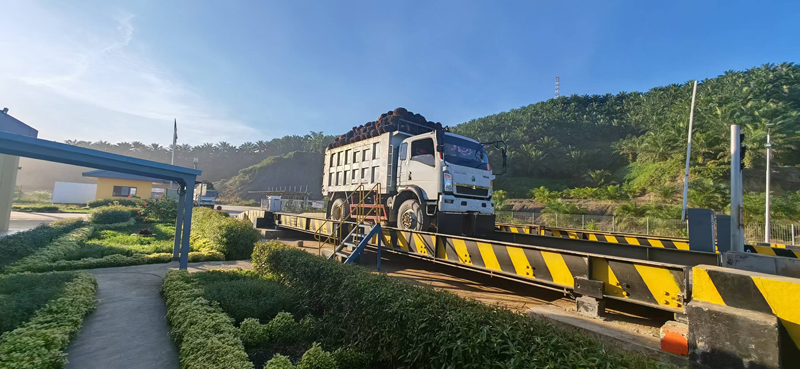 Palm Oil Production Line