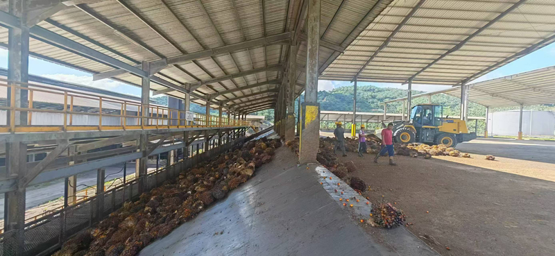 Palm Oil Production Line