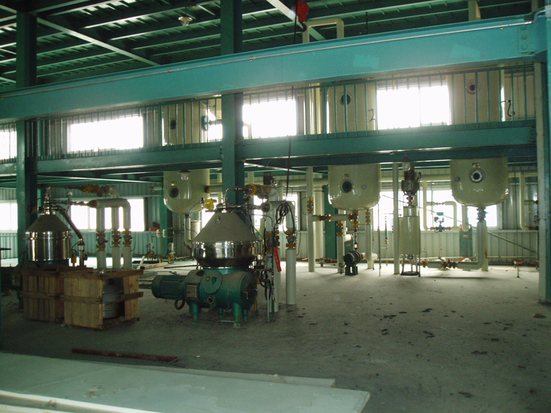 Palm Oil Refining and Fractionation Process