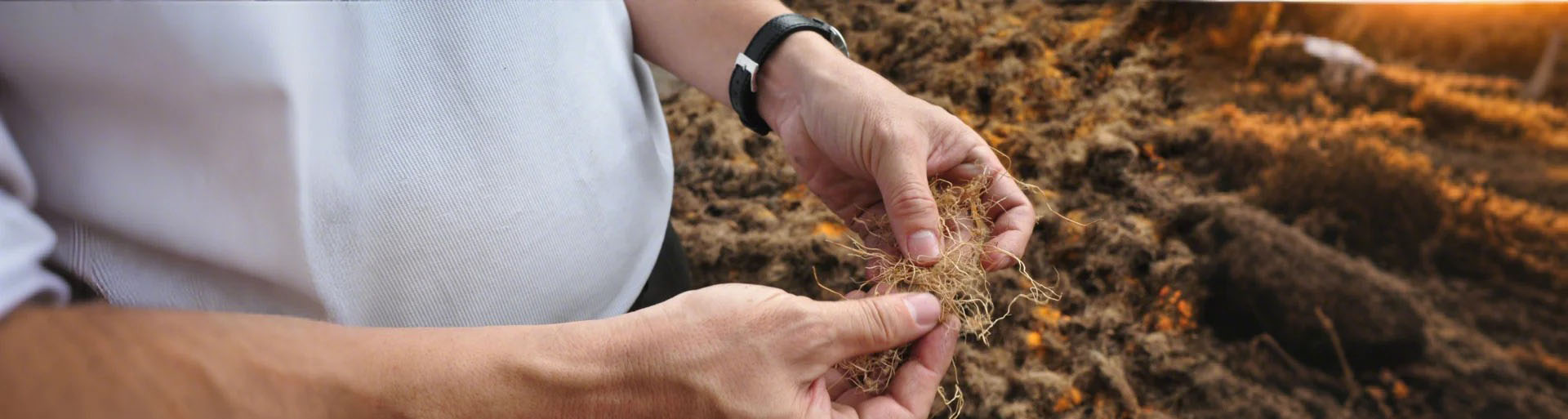 Industry Information