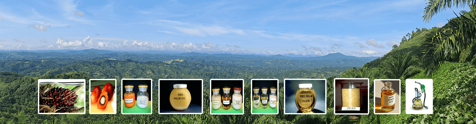 Oleochemicals  Projects