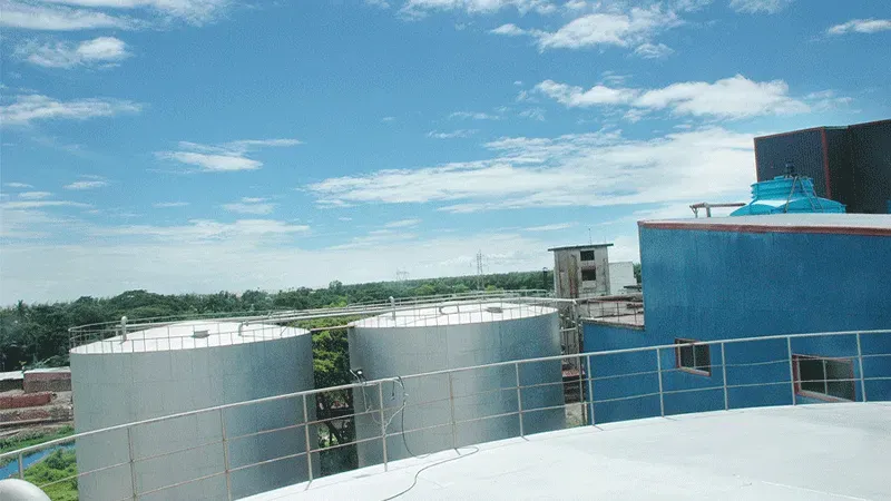 Palm Oil Refining and Fractionation Process Projects