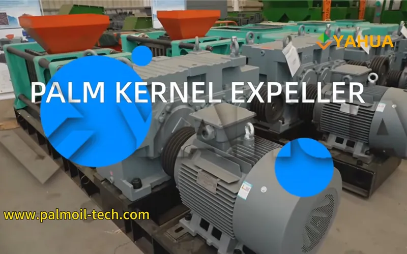 Palm Kernel Expeller