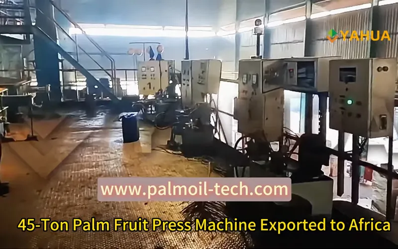 Palm Fruit Twins Screw Presser Working Video