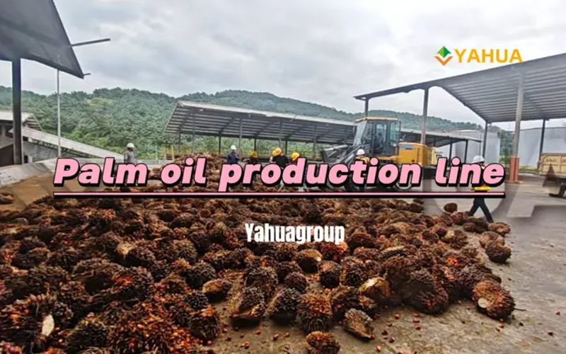 Palm Oil Production Line